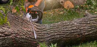 Best Lawn Mowing  in Fairfield, IL
